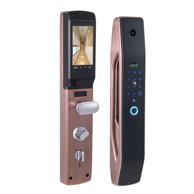 HanDaily Facile da installare  - Smart Home Door Lock recensione e prezzo